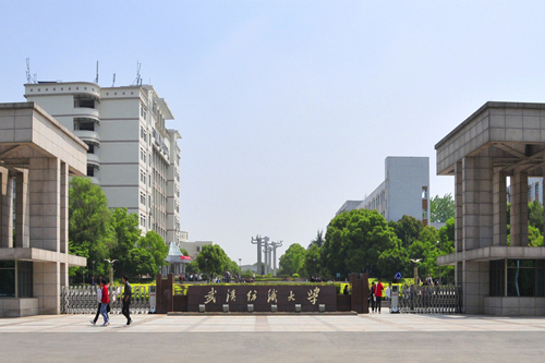 武汉纺织大学.jpg